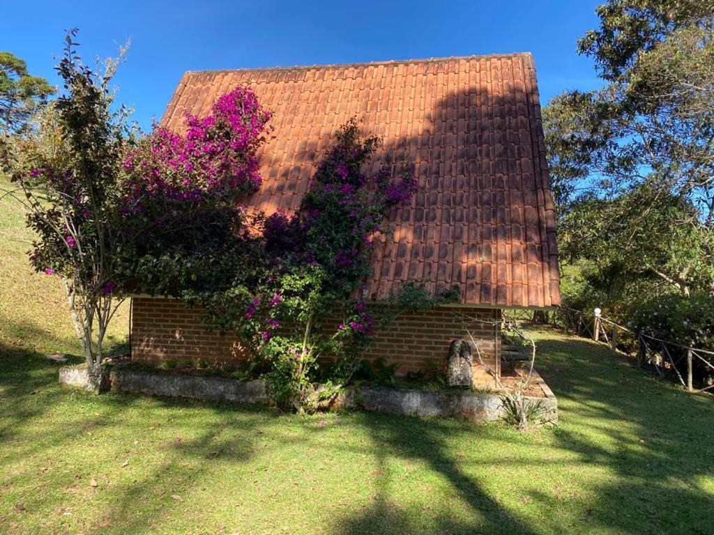 Pousada Sotaque Mineiro Cunha Buitenkant foto